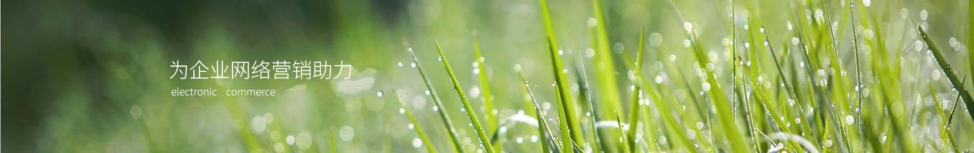 ӰĤṹ޹˾
